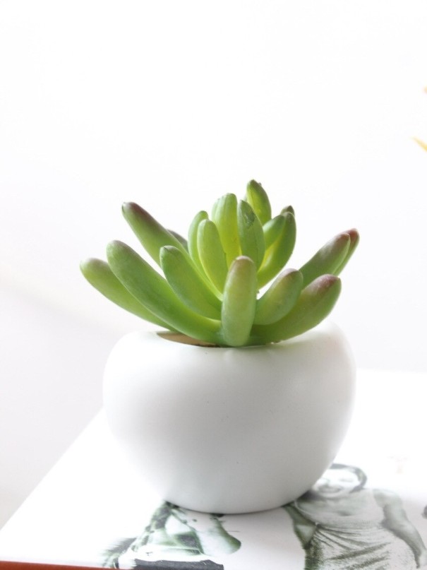 Plante artificielle dans un pot magnétique 4