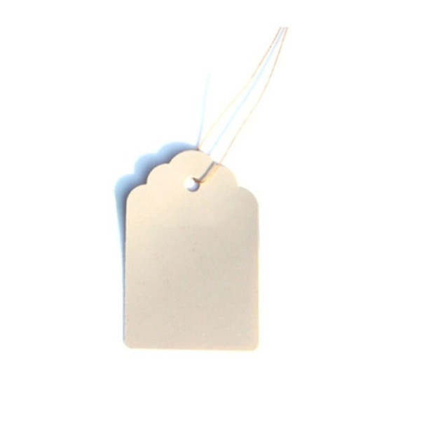 Plantenlabels 100 stuks wit 1