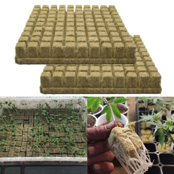 Plantera kuber