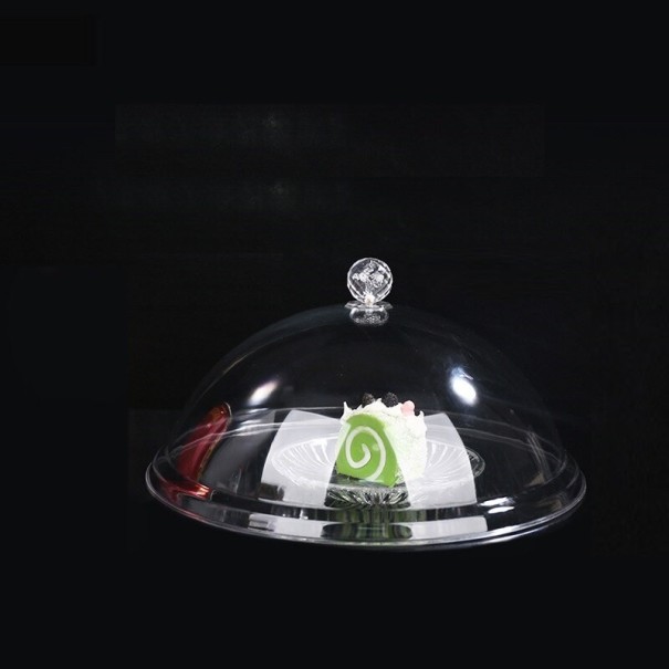 Plastic Food Cover L