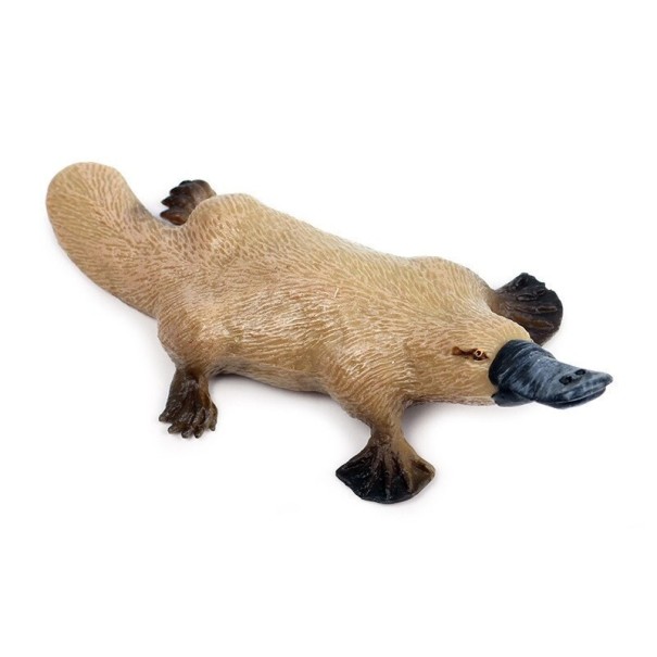 Platypus figura 1