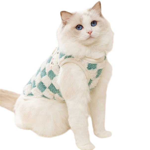 Pluche geruite jas met knoopsluiting en gesp voor katten van 4 - 5,5 kg Warme winterjas Comfortabele snit Leuke kleding voor katten Warm materiaal