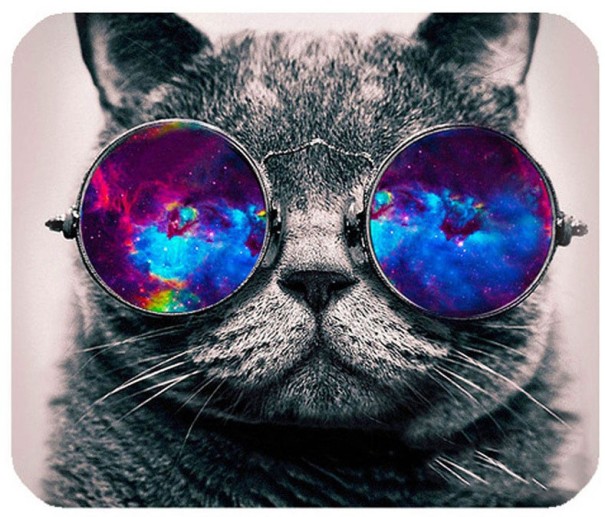 Podkładka per mouse con motivo di gatto 1