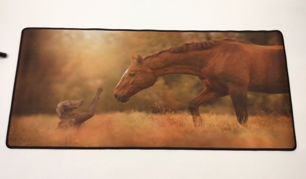 Podložka pod myš s potlačou koňa a psa J3322 30 cm x 70 cm