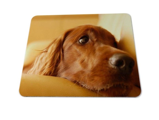 Podložka pod myš - Zlatý retriever 25 cm x 29 cm