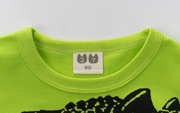 Pojk T-shirt med Tyrannosaurus Rex tryck J1333
