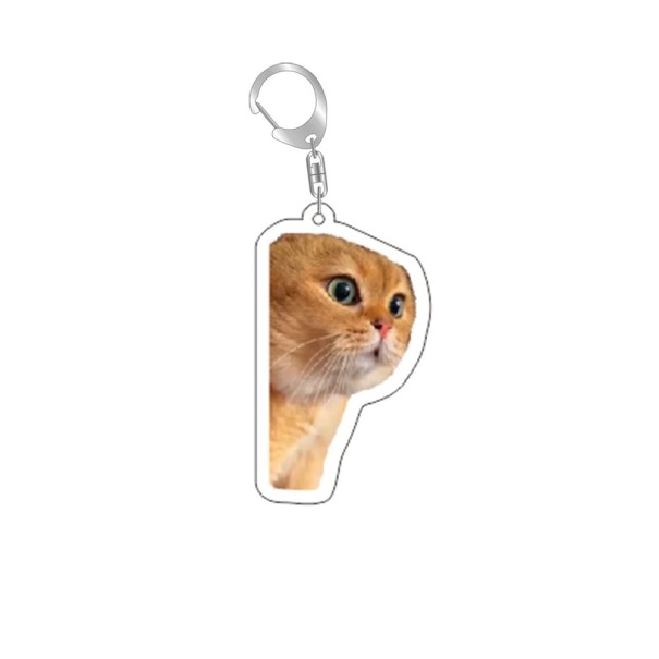 Portachiavi 55 mm Resina Gatto meme Divertente Ciondolo per chiavi zaino borsa Decorazione per chiavi Regalo originale per amanti dei gatti 1