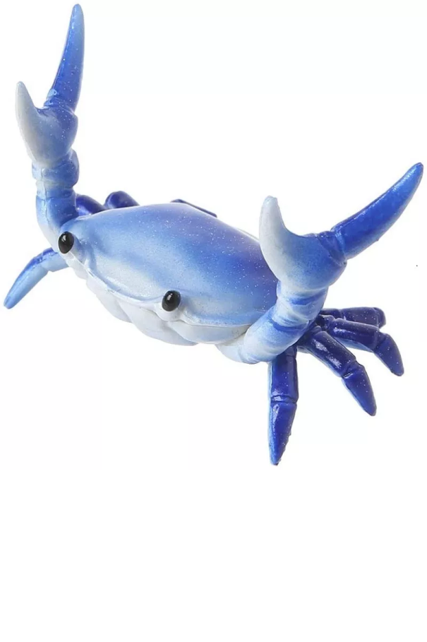 Portalápices con forma de cangrejo azul