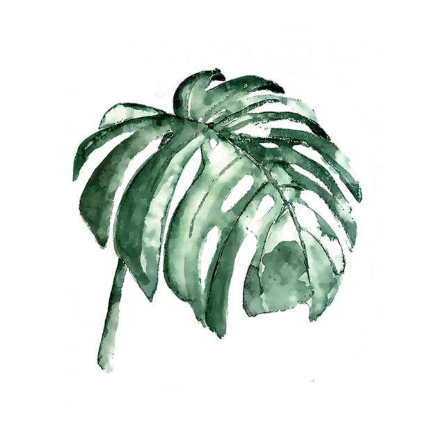 Póster de parede folha botânica verde 50 × 70 cm impressão em tela motivo natural decoração verde para interior sem moldura 1