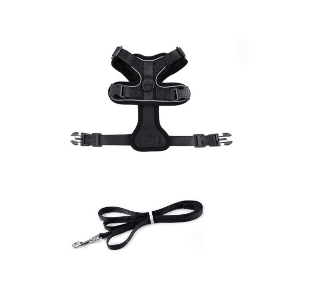 Postroj pro kočky černá XS