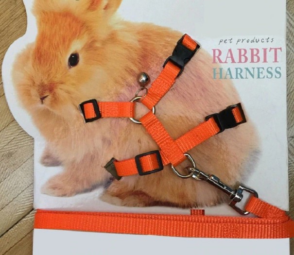 Postroj pro králíky oranžová