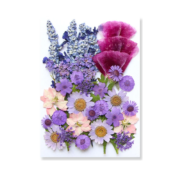 Pressade lila blommor i harts Rektangulär form Dekorativt element för smyckestillverkning Konstnärligt DIY-skapande Hantverk 1