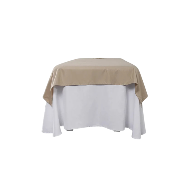 Prostěradlo na kosmetické lehátko s otvorem 120 × 200 cm Potah na masážní lehátko Polyester Bavlna Potah na lehátko do salonu hnědá
