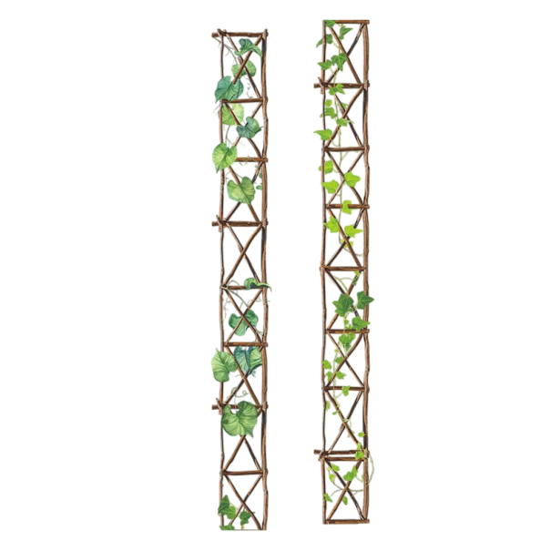 Průhledná dekorativní páska 2,5 x 200 cm s motivem přírodní popínavé mřížky Jemná průhledná páska s listy pro kreativní zdobení a dekorace 1