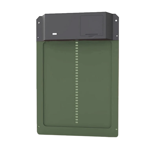 Puerta automática para gallinero con sensor de luz Puerta para gallinero de apertura automática 35 x 23,9 cm verde oscuro