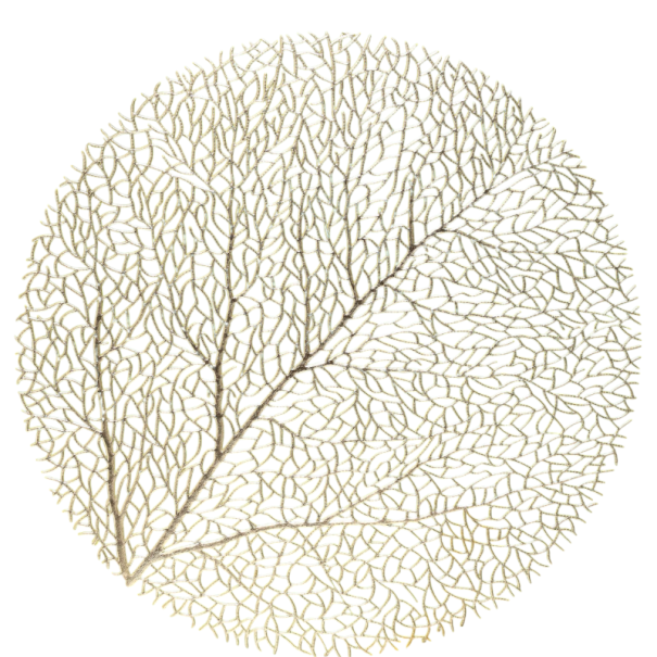 PVC Table Mats with Leaf Decorative Design Modern Style PVC Place Mats Gold for Dining Table for Home Table Decoration 1