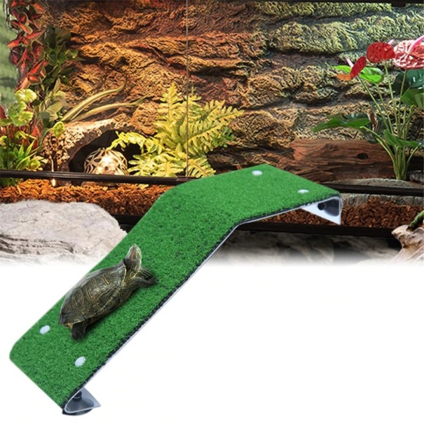 Ramp för sköldpaddor i terrariet