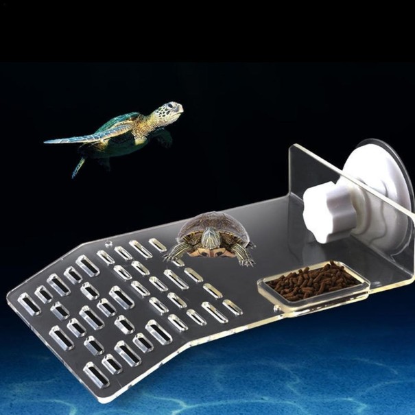 Ramp för sköldpaddor in i terrariet C776