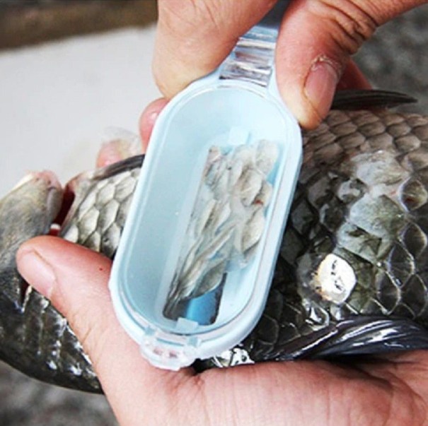 Raspador de escamas de peixe 1