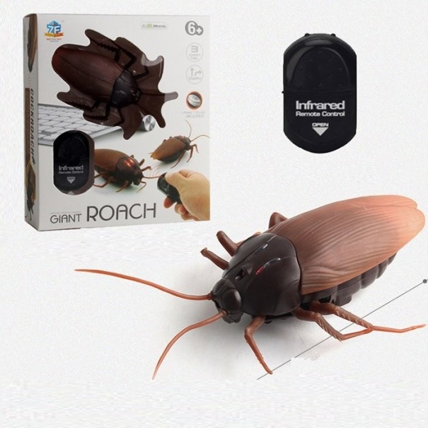 RC Beetle 1