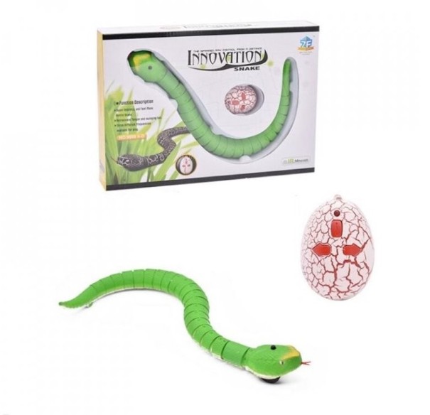 RC Control Snake 2