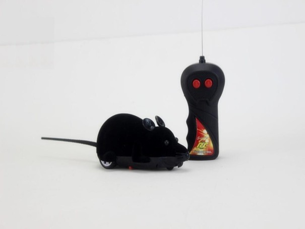 RC myš 8