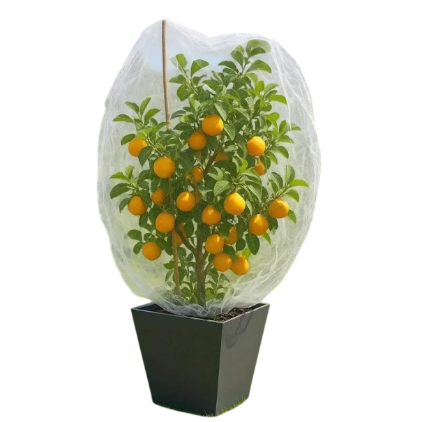 Red protectora para plantas contra pájaros y plagas 80×80 cm malla de nylon blanca para cubrir árboles frutales, arbustos y plantas de jardín 1