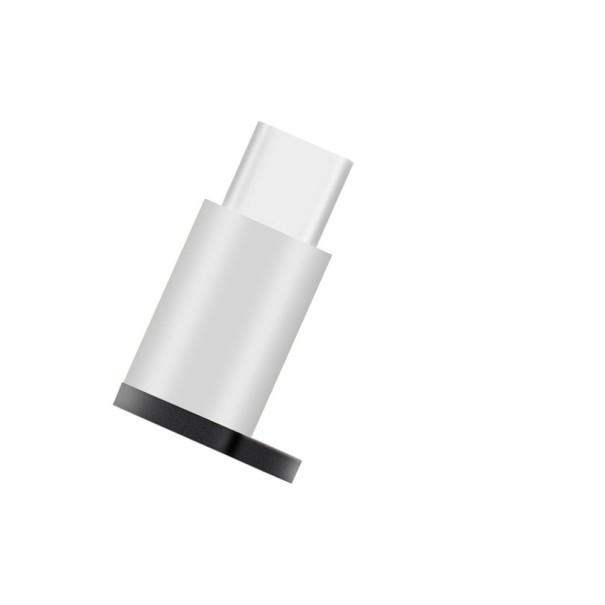 Réducteur USB-C vers Micro USB argenté