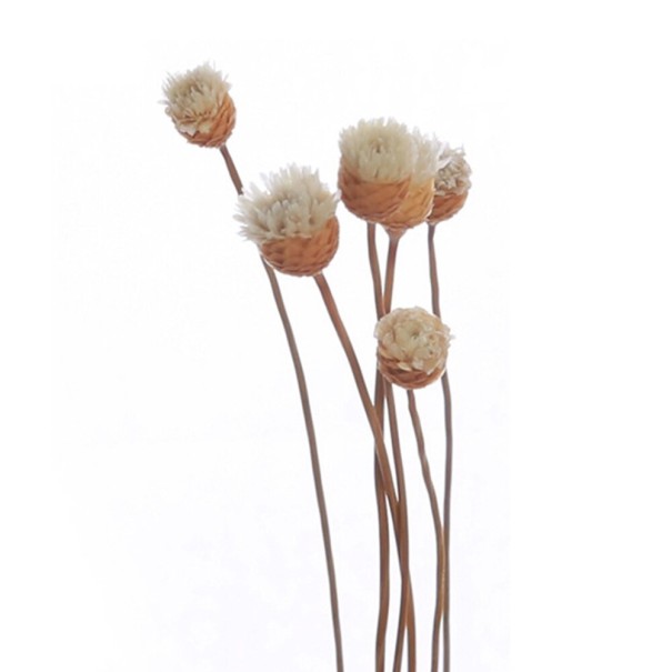 Reed Sticks for Aroma Diffuser with Flowers 5 pcs 6