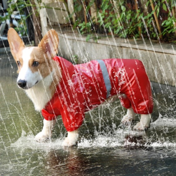 Regenjas voor honden