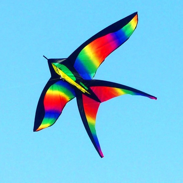 Regnbue flyvende drage 1