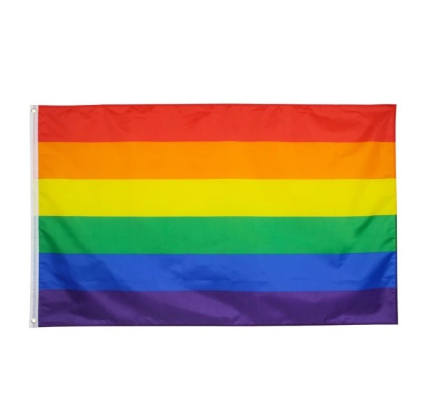Regnbueflag 60 x 90 cm 1