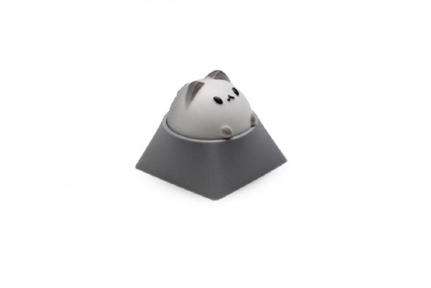 Replaceable Cat Key light grey 1