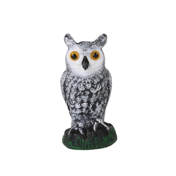 Répulseur de oiseaux de jardin 2