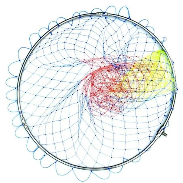 Rete da pesca circolare colorata 40 cm Profondità 50 cm Rete in acciaio inox con filo resistente Struttura durevole Rete fissa Uso universale 1