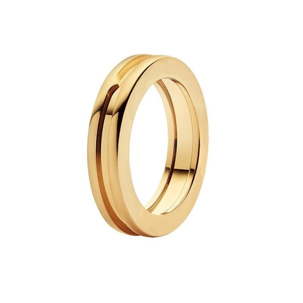 Ring D1409 guld 6