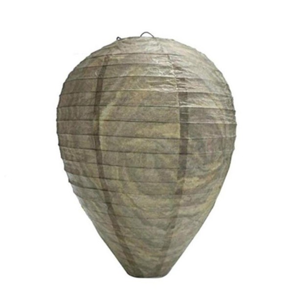 Roikkuva ampiaisansa 1