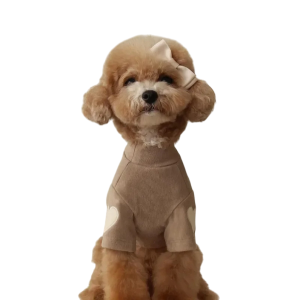 Ropa de invierno para perros de 5,5 a 7,5 kg Chaqueta cálida para perros medianos Abrigo cálido Protección contra el frío Ropa de invierno cómoda para los días fríos gris