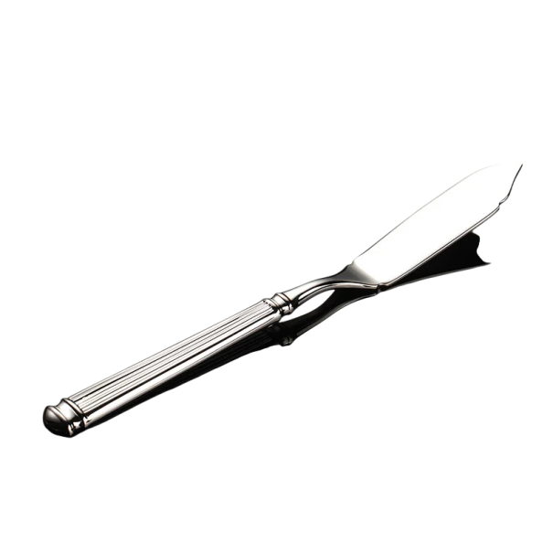 Rostfri serveringskniv för fisk Elegant bestick i rostfritt stål designat köksredskap för modern dukning 1