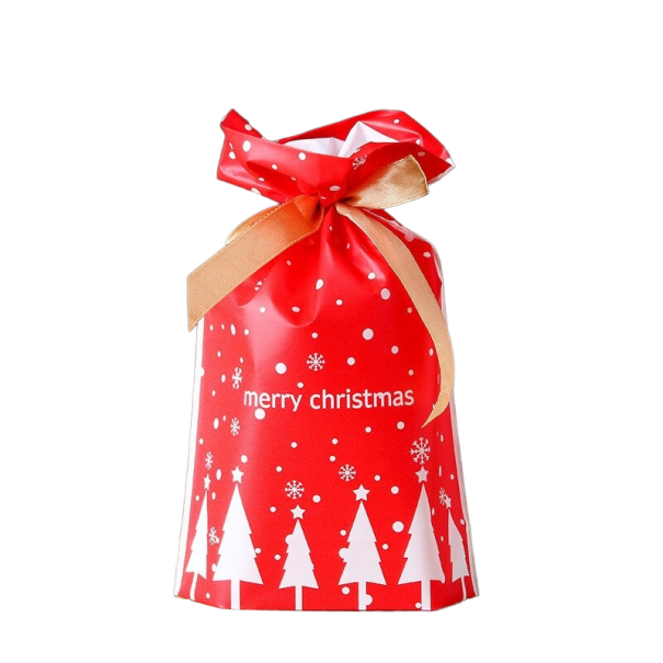 Sac cadeau de Noël 23 x 15 cm 10 pcs rouge