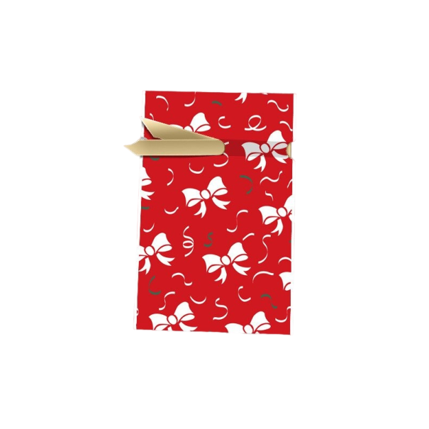 Sac cadeau de Noël 23 x 15 cm 10 pcs T1161 3