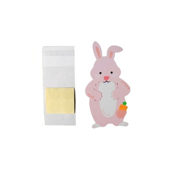 Sachet cadeau pour bonbons 10 pcs 4