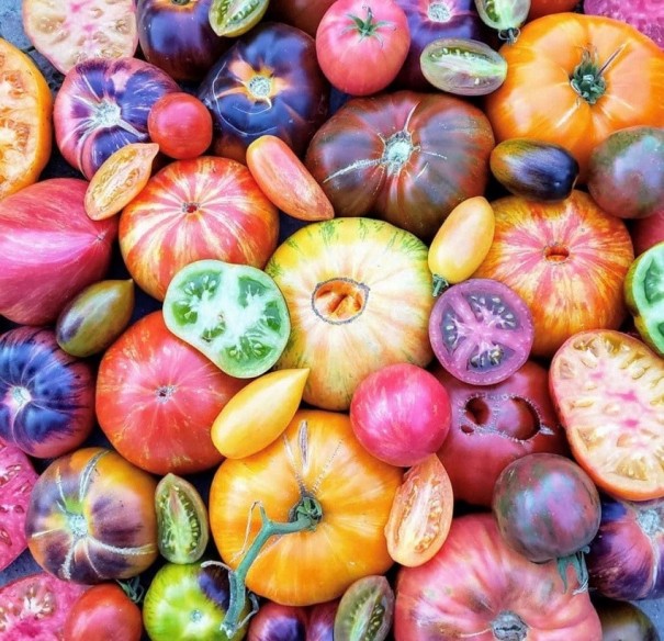 Sada semien Paradajková zmes Rôzne odrody paradajok Heirloom, Solanum Lycopersicum ľahké pestovanie Mix semienok 50 ks 1