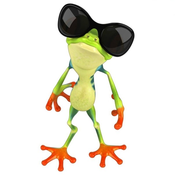 Sammakkoautotarra 6