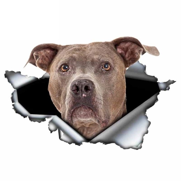 Samolepka na auto pes A1637 9