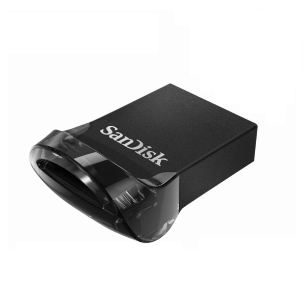 SanDisk Mini USB 3.1 256GB