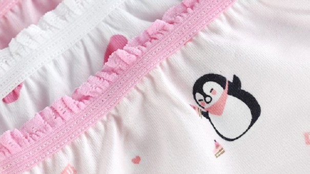 Schattige slipjes voor meisjes - 6 stuks