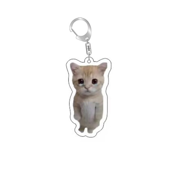 Schlüsselanhänger 55 mm Harz Meme Katze Lustiger Schlüsselanhänger Dekoration für Rucksack Handtasche Originelles Geschenk für Kinder und Erwachsene 1