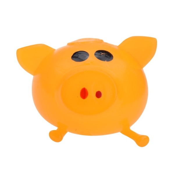 Schweinchenkatze orange
