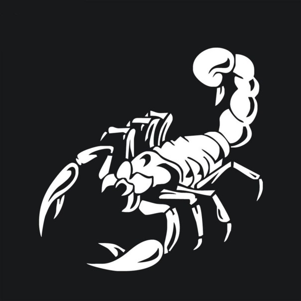 Scorpion bil klistermärke vit